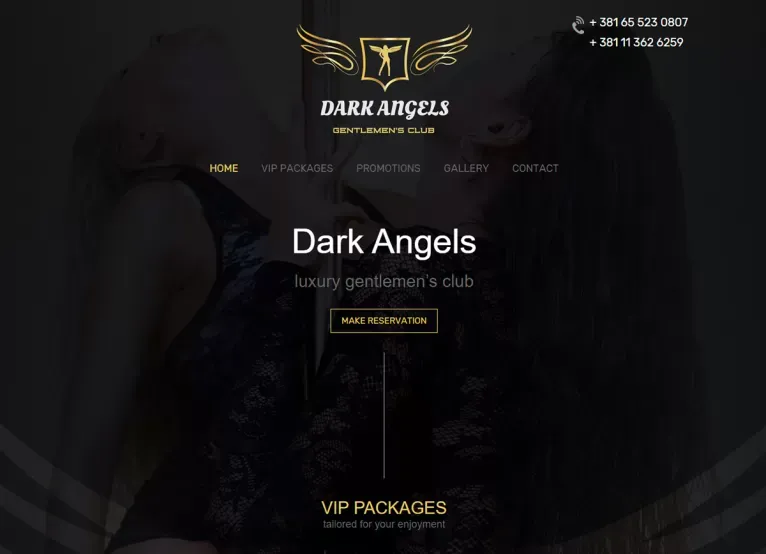 Portfolio prikaz projekta: Dark Angels