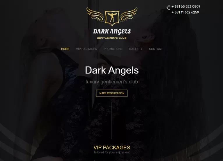 Portfolio project preview: Dark Angels