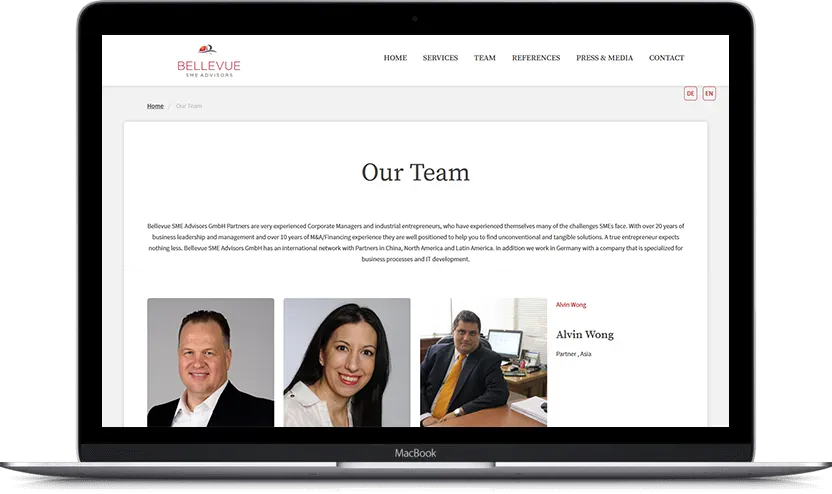 Dodatni desktop ekran projekta Bellevue SME advisors