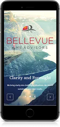 Mobilni prikaz projekta Bellevue SME advisors