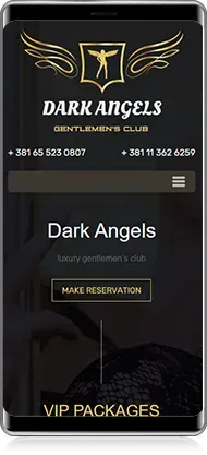 Mobile preview of Dark Angels project