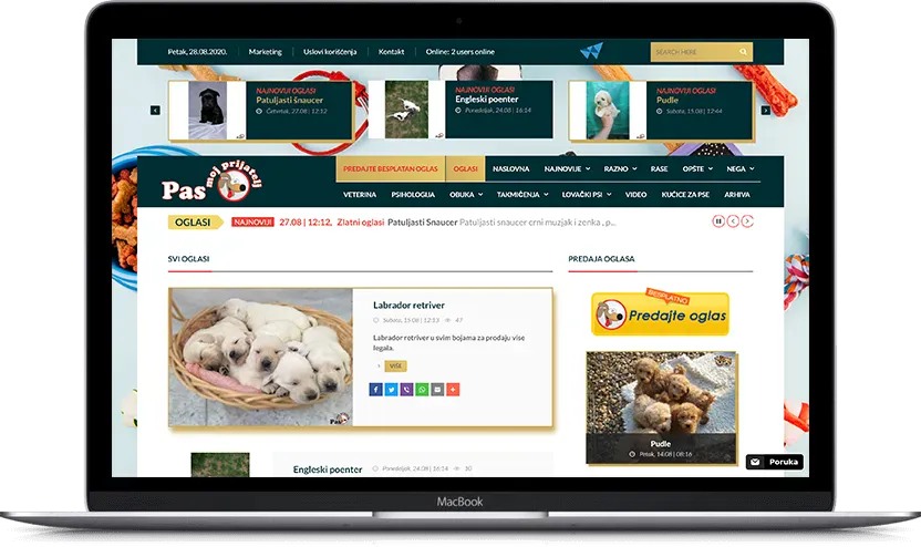 Additional desktop screen of Dog my friend project