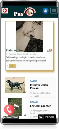 Mobile preview of Dog my friend project